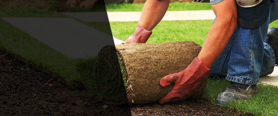 Baytown Landscapers